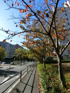 今年も残り2カ月！！